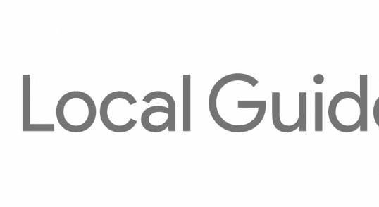 google local guides logo icon
